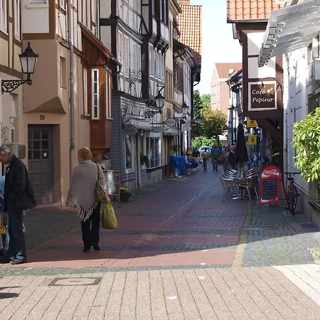 Eichhornchen Iv