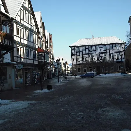 Eichhornchen Iv * Bremke (Lippe)